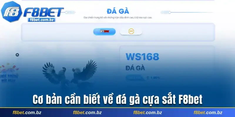 Cơ bản cần biết về đá gà cựa sắt F8bet