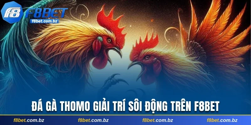 Đá gà Thomo