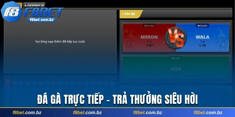 Đá gà trực tiếp