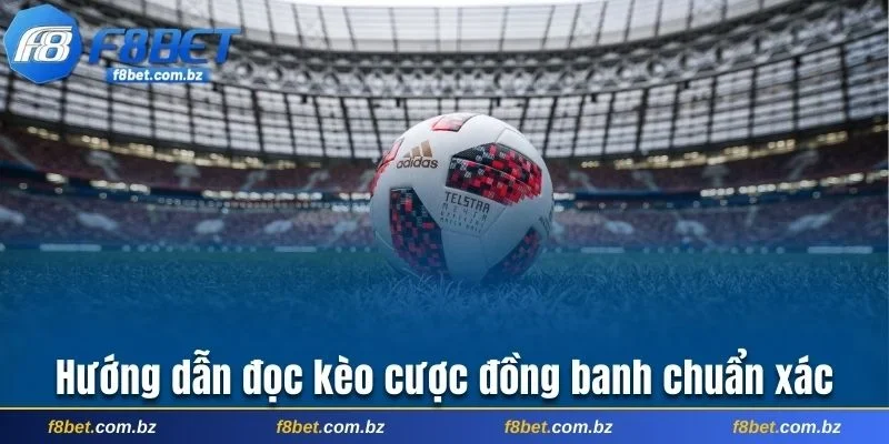 Hướng dẫn đọc tỷ lệ cược đồng banh chuẩn xác