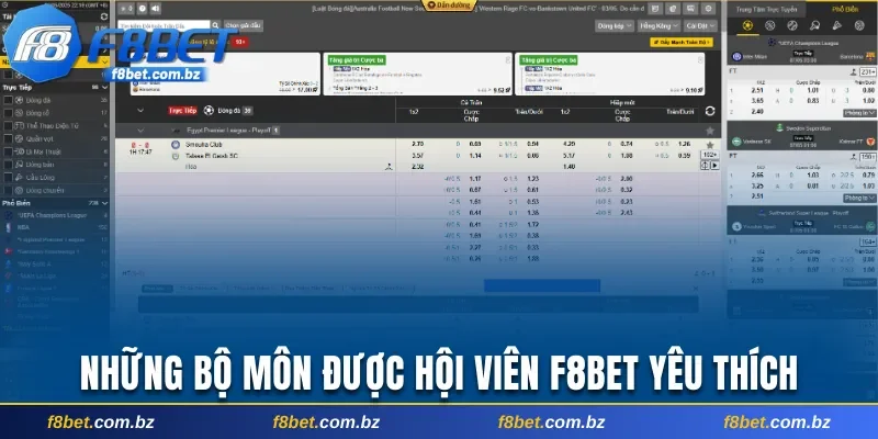 Những bộ môn thể thao được hội viên F8bet yêu thích