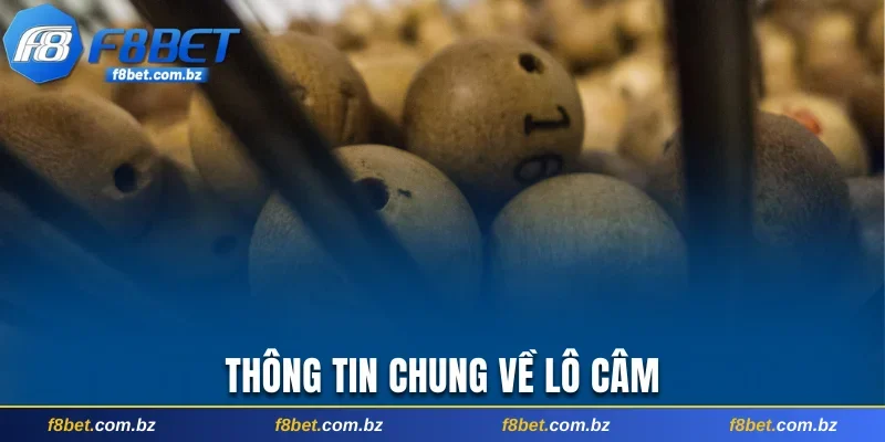 Thông tin chung về lô câm