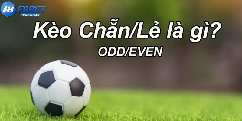 Thông tin về kèo chẵn lẽ trong cá cược